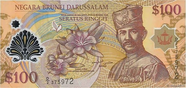 100 ринггит